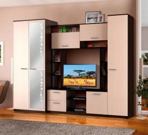 АЛЕКСАНДРА 10 Стенка в Стрежевом - strezevoi.ok-mebel.com | фото 2