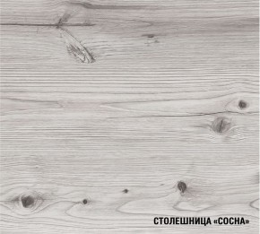 АСАЯ Кухонный гарнитур Экстра (3000 мм) в Стрежевом - strezevoi.ok-mebel.com | фото 8