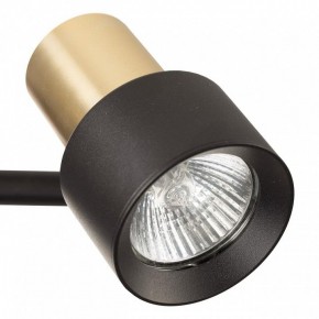 Бра Citilux SAT CL505621 в Стрежевом - strezevoi.ok-mebel.com | фото 8