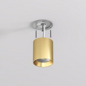 DK2610-SB Накладной светильник SHINE TUBE со светодиодом, D70*H80, IP20, 3000К, 10W, RA?90, сатинированная латунь, алюминий в Стрежевом - strezevoi.ok-mebel.com | фото 3