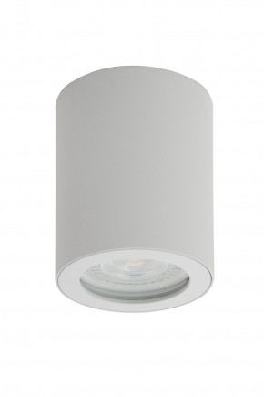 DK3007-WH Накладной светильник влагозащ., IP 44, 15 Вт, GU10, белый, алюминий в Стрежевом - strezevoi.ok-mebel.com | фото