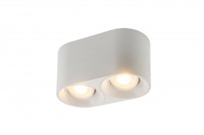 DK3036-WH Светильник накладной IP 20, 10 Вт, GU5.3, LED, белый, пластик в Стрежевом - strezevoi.ok-mebel.com | фото
