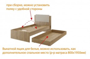 Дуглас подростковая (модульная) в Стрежевом - strezevoi.ok-mebel.com | фото 5