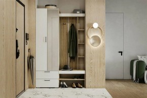 Гарнитур для прихожей Торонто в Стрежевом - strezevoi.ok-mebel.com | фото 5