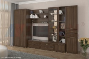 Гостиная Карина Композиция 11 (Акация Молдау) в Стрежевом - strezevoi.ok-mebel.com | фото