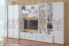 Гостиная Карина Композиция 11 (Снежный ясень) в Стрежевом - strezevoi.ok-mebel.com | фото