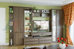 Гостиная Карина Композиция 20 (Акация Молдау) в Стрежевом - strezevoi.ok-mebel.com | фото