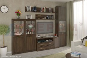 Гостиная Карина Композиция 22 (Акация Молдау) в Стрежевом - strezevoi.ok-mebel.com | фото