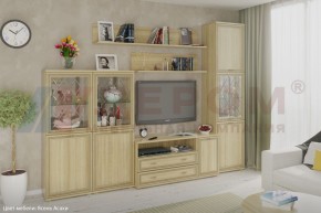Гостиная Карина Композиция 22 (Ясень Асахи) в Стрежевом - strezevoi.ok-mebel.com | фото