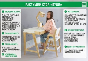 Комплект растущий стол и стул с чехлом 38 попугаев «Вуди» (Серый, Береза, Салют) в Стрежевом - strezevoi.ok-mebel.com | фото