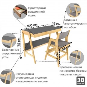 Комплект растущий стол и стул с чехлом 38 попугаев «Вуди» (Серый, Береза, Серый) в Стрежевом - strezevoi.ok-mebel.com | фото