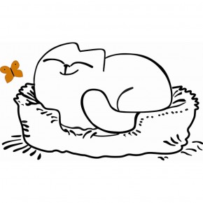 Кровать двухуровневая Кот № 900.1 ЛЕВАЯ (туя светлая/белый) в Стрежевом - strezevoi.ok-mebel.com | фото 2