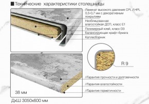 Кухонный фартук со столешницей (А-010) в едином стиле (3050 мм) в Стрежевом - strezevoi.ok-mebel.com | фото 7