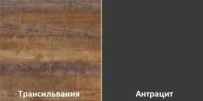 Кухонный гарнитур угловой Трансильвания 2600х1600 мм (Стол. 26 мм) в Стрежевом - strezevoi.ok-mebel.com | фото 3