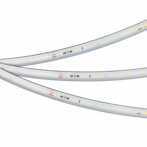 Лента светодиодная Arlight IC-PS-A60-10mm 24V 050656 в Стрежевом - strezevoi.ok-mebel.com | фото