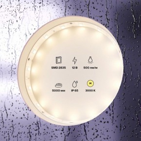 Лента светодиодная Maytoni Led strip 10105 в Стрежевом - strezevoi.ok-mebel.com | фото 2