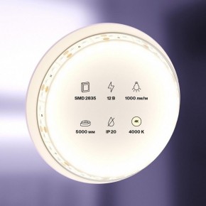 Лента светодиодная Maytoni Led strip 10109 в Стрежевом - strezevoi.ok-mebel.com | фото 2