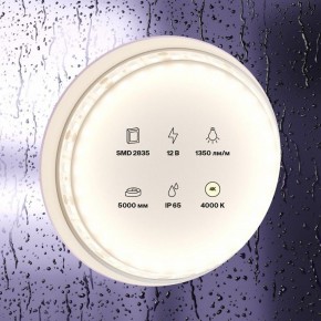 Лента светодиодная Maytoni Led strip 10118 в Стрежевом - strezevoi.ok-mebel.com | фото 2