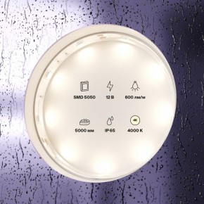 Лента светодиодная Maytoni Led strip 10124 в Стрежевом - strezevoi.ok-mebel.com | фото 3