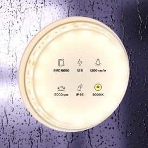 Лента светодиодная Maytoni Led strip 10131 в Стрежевом - strezevoi.ok-mebel.com | фото 2