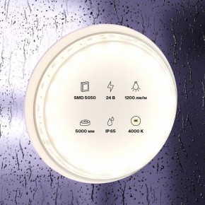 Лента светодиодная Maytoni Led strip 10172 в Стрежевом - strezevoi.ok-mebel.com | фото 2