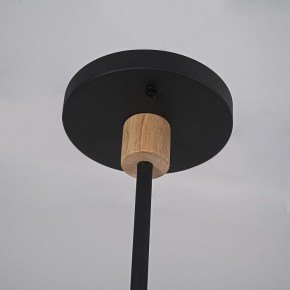 Люстра на штанге Imperiumloft TURNA Black TURNA-DBL01 в Стрежевом - strezevoi.ok-mebel.com | фото 9