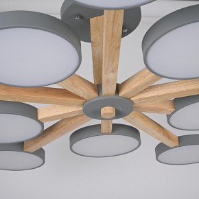 Люстра на штанге Imperiumloft TURNA Gray TURNA-B01 в Стрежевом - strezevoi.ok-mebel.com | фото 10