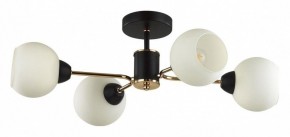 Люстра на штанге Lumion KODI 5646/4C в Стрежевом - strezevoi.ok-mebel.com | фото