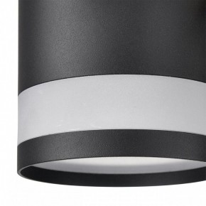 Люстра на штанге Lumion Lanika 8240/8C в Стрежевом - strezevoi.ok-mebel.com | фото 8