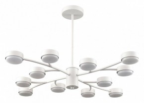 Люстра на штанге Lumion TORINA 8265/12 в Стрежевом - strezevoi.ok-mebel.com | фото