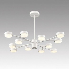 Люстра на штанге Lumion TORINA 8265/12 в Стрежевом - strezevoi.ok-mebel.com | фото 3