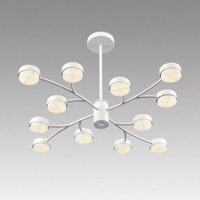 Люстра на штанге Lumion TORINA 8265/12 в Стрежевом - strezevoi.ok-mebel.com | фото 5