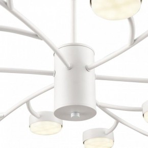 Люстра на штанге Lumion TORINA 8265/18 в Стрежевом - strezevoi.ok-mebel.com | фото 8