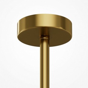 Люстра на штанге Maytoni Museo MOD436PL-07BS в Стрежевом - strezevoi.ok-mebel.com | фото 5