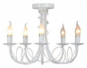 Люстра на штанге Vitaluce V3035 V3035-0/5PL в Стрежевом - strezevoi.ok-mebel.com | фото 2