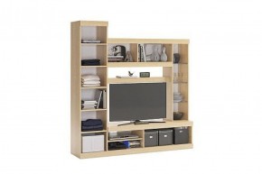 МАКСИ Мини-стенка дуб сонома/белое дерево в Стрежевом - strezevoi.ok-mebel.com | фото 1