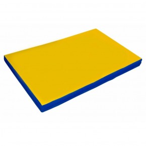 Мат гимнастический 2х1х0,08м цв. синий-желтый в Стрежевом - strezevoi.ok-mebel.com | фото