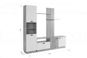 МОДИ Гостиная (модульная) белое дерево в Стрежевом - strezevoi.ok-mebel.com | фото 2