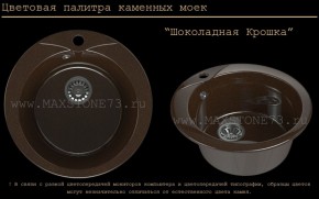 Мойка кухонная MS-1 (D470) в Стрежевом - strezevoi.ok-mebel.com | фото 11