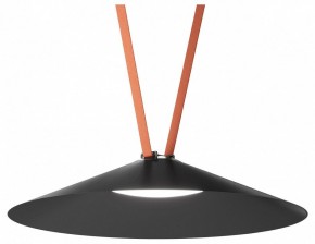 Накладной светильник Denkirs Belty Flow DK5568-BK в Стрежевом - strezevoi.ok-mebel.com | фото 2
