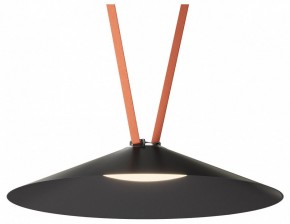 Накладной светильник Denkirs Belty Flow DK5569-BK в Стрежевом - strezevoi.ok-mebel.com | фото 2