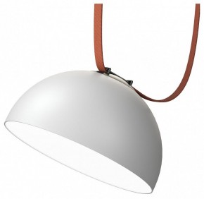Накладной светильник Denkirs Belty Flow DK5662-WH+BK в Стрежевом - strezevoi.ok-mebel.com | фото