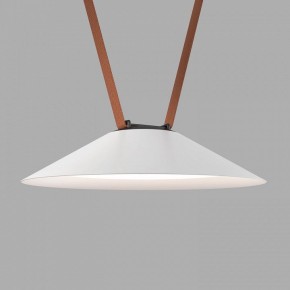 Накладной светильник Denkirs Belty Flow DK5664-WH+BK в Стрежевом - strezevoi.ok-mebel.com | фото 2