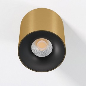 Накладной светильник Elektrostandard Primo 25116/LED в Стрежевом - strezevoi.ok-mebel.com | фото