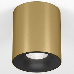 Накладной светильник Elektrostandard Primo 25116/LED в Стрежевом - strezevoi.ok-mebel.com | фото 2