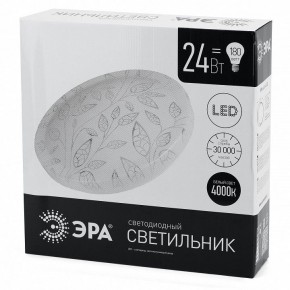 Накладной светильник Эра Классик SPB-6-24-4K (C) в Стрежевом - strezevoi.ok-mebel.com | фото 4