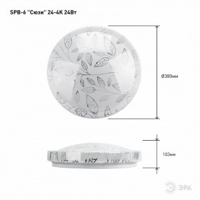 Накладной светильник Эра Классик SPB-6-24-4K (C) в Стрежевом - strezevoi.ok-mebel.com | фото 6