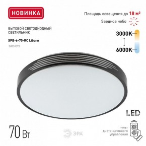 Накладной светильник Эра Классик SPB-6-70-RC Liburn в Стрежевом - strezevoi.ok-mebel.com | фото 10