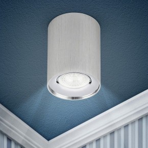 Накладной светильник Эра  OL1 GU10 SL/CH в Стрежевом - strezevoi.ok-mebel.com | фото 3