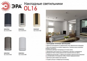 Накладной светильник Эра OL16 GU10 BK Б0049042 в Стрежевом - strezevoi.ok-mebel.com | фото 3